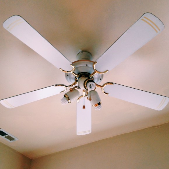 Processed with VSCOcam with c1 preset